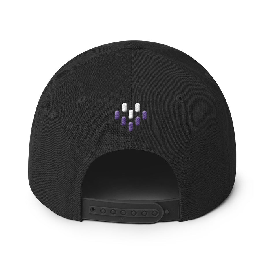 VOL - Snapback Hat